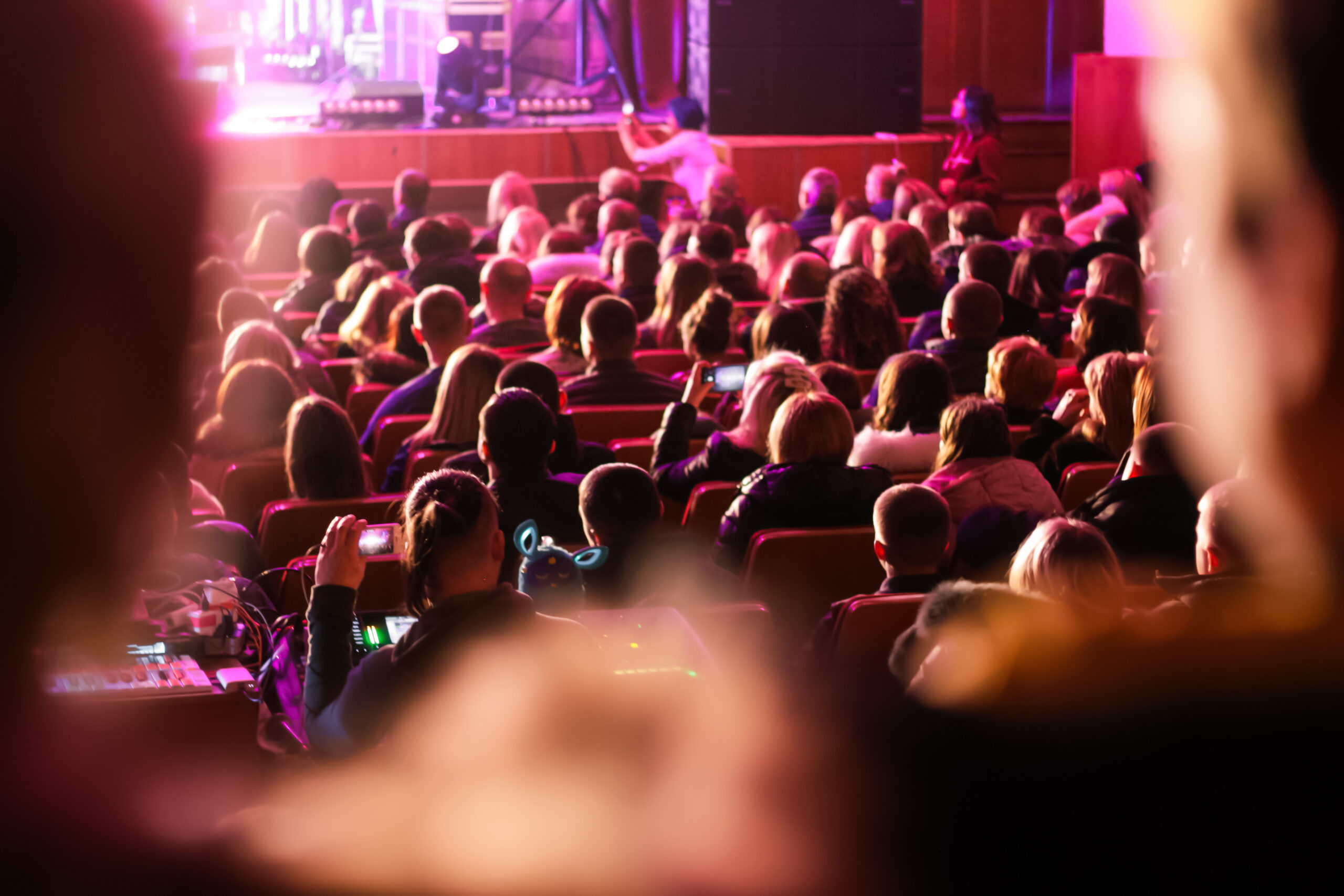 Concerto a Roma - pubblico durante uno spettacolo dal vivo