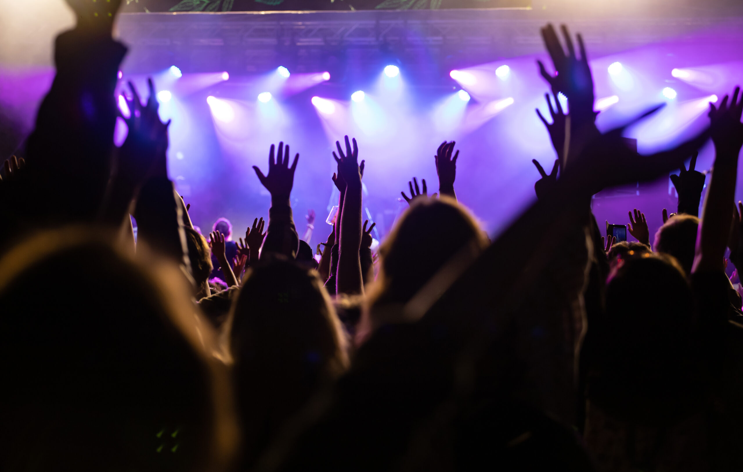 Concerto dal vivo a Roma con pubblico e luci sul palco