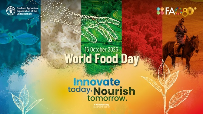 Grafica ufficiale World Food Day 2026 della FAO con il tema Innovare oggi per nutrire il domani
